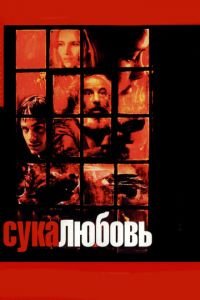 Сука-любовь (фильм 2000) Сука-любовь (фильм 2000) смотреть