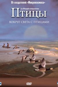 Птицы (фильм 2001) Птицы (фильм 2001) смотреть