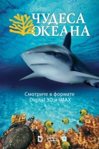 Чудеса океана 3D (фильм 2003) Чудеса океана 3D (фильм 2003) смотреть