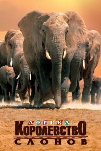 Африка — королевство слонов (фильм 1998) Африка — королевство слонов (фильм 1998) смотреть
