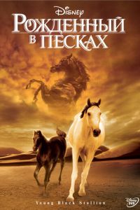 Рожденный в песках (фильм 2003) Рожденный в песках (фильм 2003) смотреть