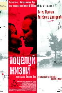 Поцелуй жизни (фильм 2003) Поцелуй жизни (фильм 2003) смотреть