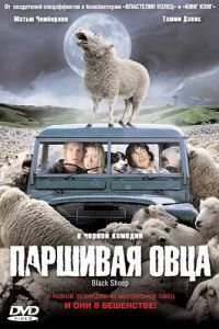 Паршивая овца (фильм 2006) Паршивая овца (фильм 2006) смотреть