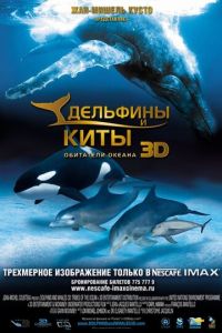 Дельфины и киты 3D (фильм 2008) Дельфины и киты 3D (фильм 2008) смотреть