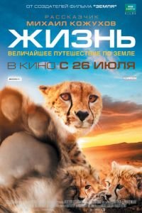 Жизнь (фильм 2011) Жизнь (фильм 2011) смотреть