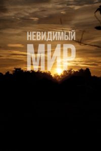 Невидимый мир (фильм 2012) Невидимый мир (фильм 2012) смотреть