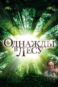 Однажды в лесу (фильм 2013) Однажды в лесу (фильм 2013) смотреть