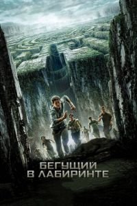 Бегущий в лабиринте (фильм 2014) Бегущий в лабиринте (фильм 2014) смотреть