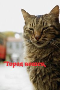 Город кошек (фильм 2016) Город кошек (фильм 2016) смотреть