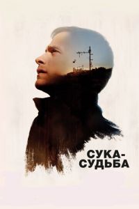 Сука-судьба (фильм 2017) Сука-судьба (фильм 2017) смотреть