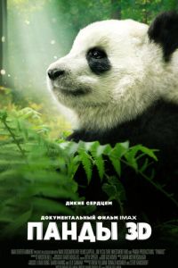 Панды 3D (фильм 2018) Панды 3D (фильм 2018) смотреть