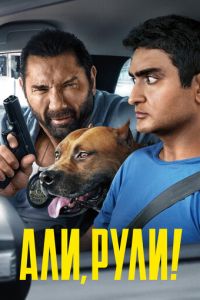 Али, рули! (фильм 2019) Али, рули! (фильм 2019) смотреть