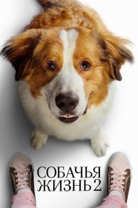 Собачья жизнь 2 (фильм 2019) Собачья жизнь 2 (фильм 2019) смотреть
