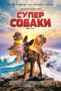 Суперсобаки (фильм 2019) Суперсобаки (фильм 2019) смотреть