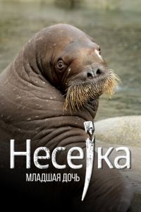 Несейка. Младшая дочь (фильм 2018) Несейка. Младшая дочь (фильм 2018) смотреть