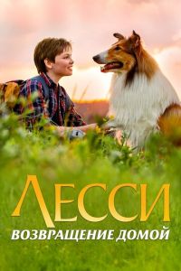 Лесси. Возвращение домой (фильм 2020) Лесси. Возвращение домой (фильм 2020) смотреть