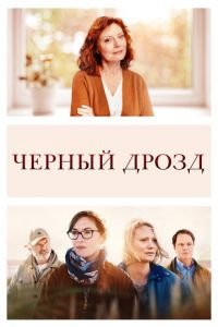 Чёрный дрозд (фильм 2019) Чёрный дрозд (фильм 2019) смотреть