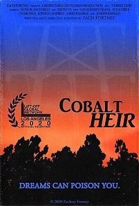 Наследник кобальта (фильм 2020) Наследник кобальта (фильм 2020) смотреть