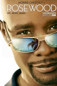 Роузвуд (сериал) Роузвуд (сериал) смотреть