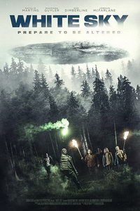 Белое небо (фильм 2021) Белое небо (фильм 2021) смотреть