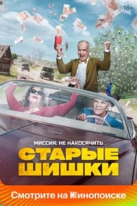Старые шишки (фильм 2021) Старые шишки (фильм 2021) смотреть