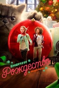 Крошечное Рождество (фильм 2017) Крошечное Рождество (фильм 2017) смотреть