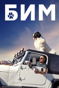 БиМ (сериал) БиМ (сериал) смотреть