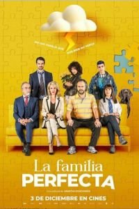 Идеальная семья (фильм 2021) Идеальная семья (фильм 2021) смотреть