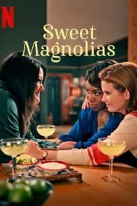 Милые магнолии (сериал) Милые магнолии (сериал) смотреть