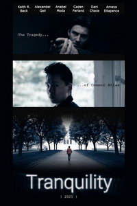 Успокоение - независимый фильм (фильм 2021) смотреть