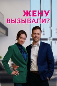 Жену вызывали? (сериал) смотреть