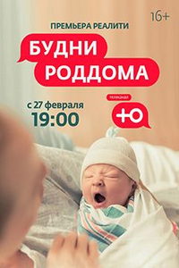 Будни роддома (сериал) Будни роддома (сериал) смотреть
