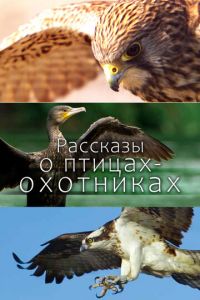 Рассказы о птицах-охотниках (сериал) Рассказы о птицах-охотниках (сериал) смотреть