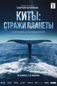 Киты: Стражи планеты (фильм 2023) Киты: Стражи планеты (фильм 2023) смотреть
