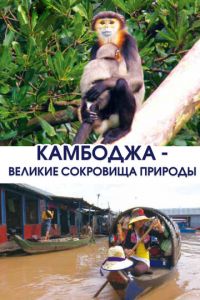 Камбоджа - великие сокровища природы (сериал) Камбоджа - великие сокровища природы (сериал) смотреть