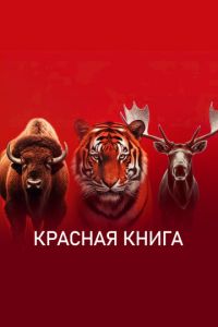 Красная книга (сериал) Красная книга (сериал) смотреть