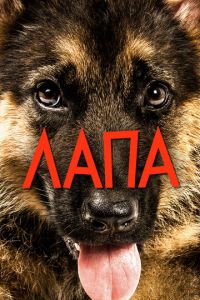 Лапа (фильм 2015) Лапа (фильм 2015) смотреть