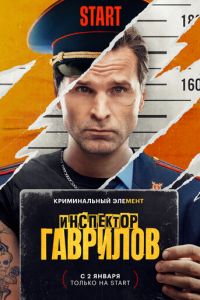 Инспектор Гаврилов (сериал) Инспектор Гаврилов (сериал) смотреть