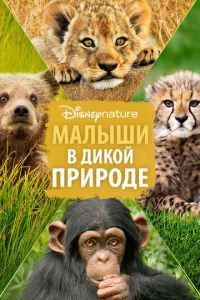 Малыши в дикой природе (фильм 2016) Малыши в дикой природе (фильм 2016) смотреть