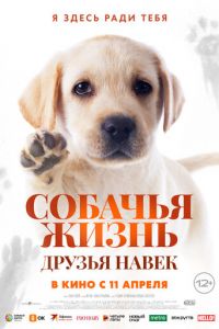Собачья жизнь: Друзья навек (фильм 2023) Собачья жизнь: Друзья навек (фильм 2023) смотреть