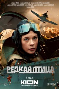 Редкая птица (сериал) Редкая птица (сериал) смотреть