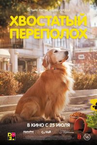 Хвостатый переполох (фильм 2024) Хвостатый переполох (фильм 2024) смотреть