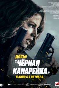 Досье «Чёрная канарейка» (фильм 2024) смотреть