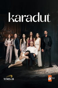 Чёрная шелковица (сериал) Чёрная шелковица (сериал) смотреть