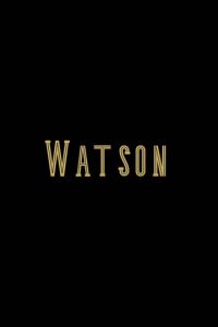 Ватсон (сериал) Ватсон (сериал) смотреть