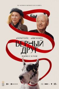 Верный друг (фильм 2024) Верный друг (фильм 2024) смотреть