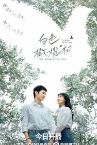 Белое оливковое дерево (сериал) Белое оливковое дерево (сериал) смотреть