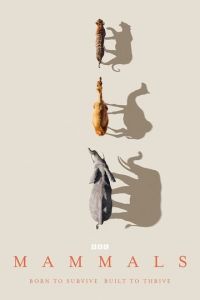 Млекопитающие (сериал) смотреть
