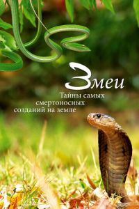 Змеи. Тайны самых смертоносных созданий на земле (фильм 2014) Змеи. Тайны самых смертоносных созданий на земле (фильм 2014)